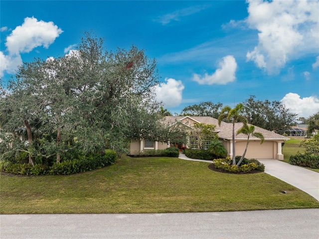 view of property hidden behind natural elements with a front lawn