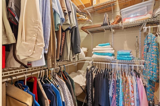 view of spacious closet