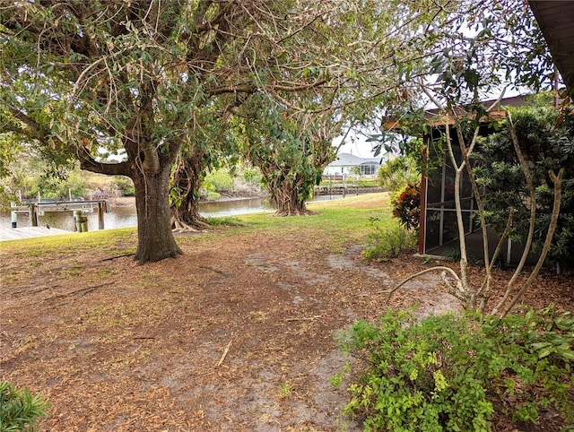 view of yard with a water view and a boat dock