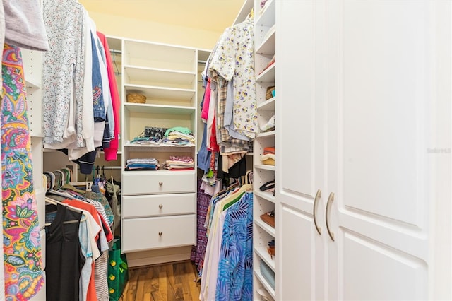 spacious closet featuring wood-type flooring