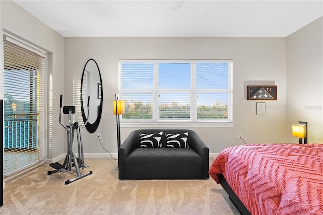 bedroom with carpet floors