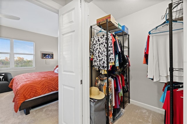 walk in closet featuring carpet flooring