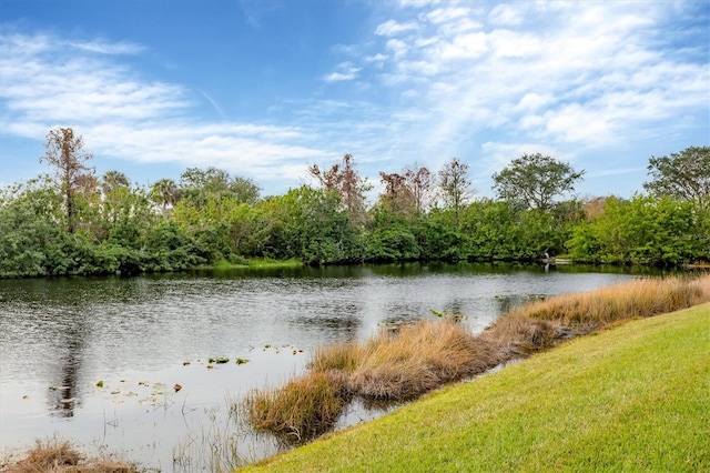 25187 Keygrass Ct, Punta Gorda, FL 33955 - photo 37