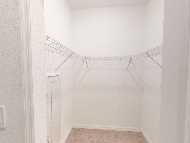 spacious closet with carpet flooring