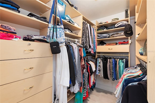 view of spacious closet