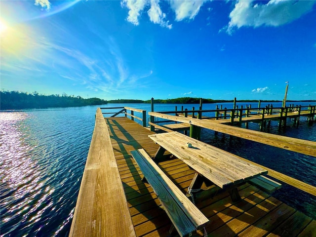 dock area with a water view