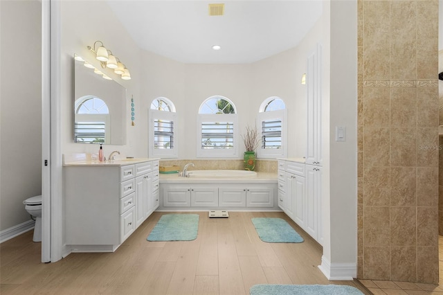 bathroom with plenty of natural light, hardwood / wood-style floors, vanity, and a bathing tub