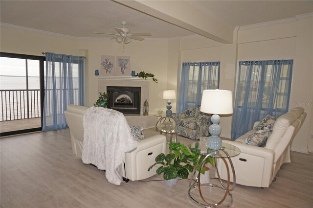 living room featuring ceiling fan, light hardwood / wood-style flooring, and crown molding