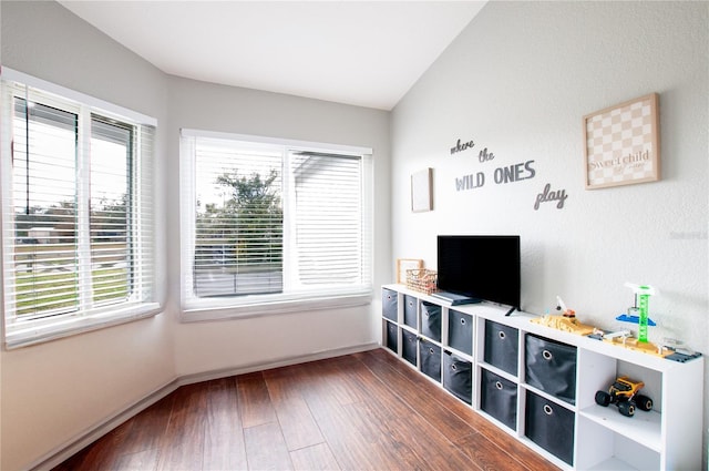 living room featuring dark hardwood / wood-style floors