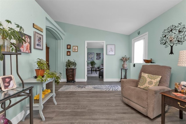 sitting room featuring hardwood / wood-style flooring and lofted ceiling