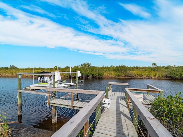 dock area with a water view