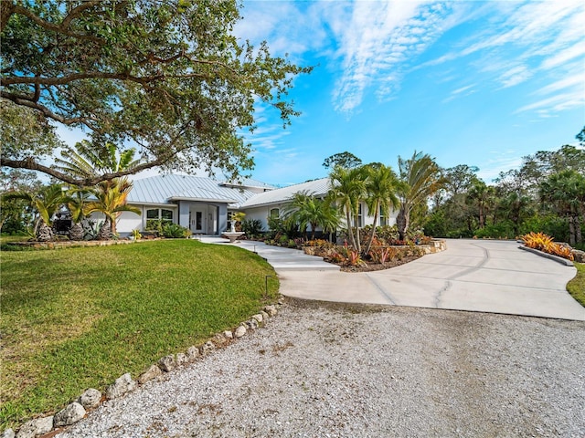 ranch-style house featuring a front yard