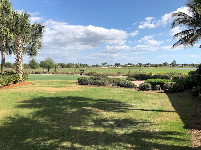 view of yard with a rural view