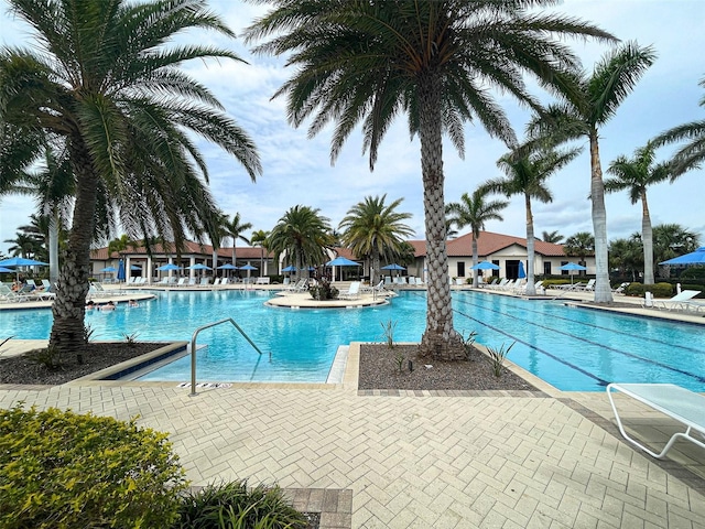 view of pool featuring a patio area