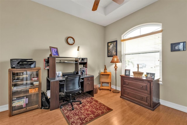 office space with ceiling fan and light hardwood / wood-style flooring