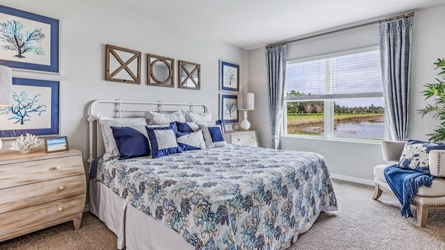 bedroom with carpet flooring