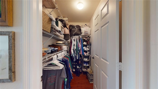 spacious closet featuring wood-type flooring