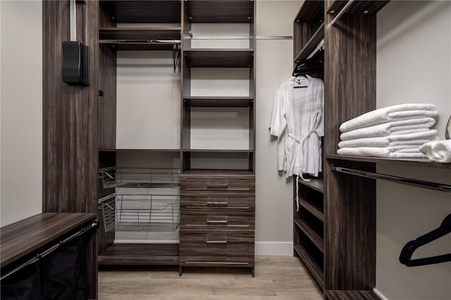 spacious closet featuring light wood-type flooring