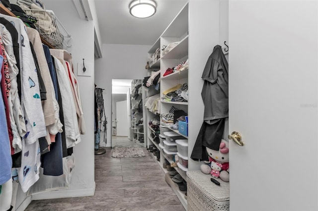 spacious closet featuring wood-type flooring