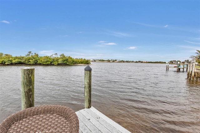 dock area featuring a water view