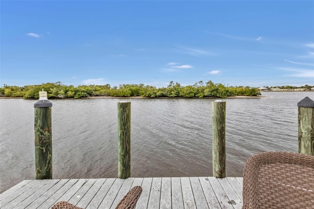 dock area featuring a water view