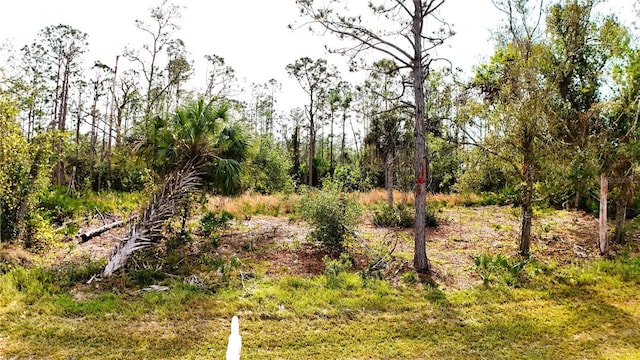 1284 Rambler Ter, Port Charlotte FL, 33953 land for sale