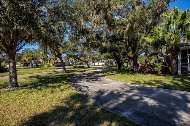 view of home's community with a lawn