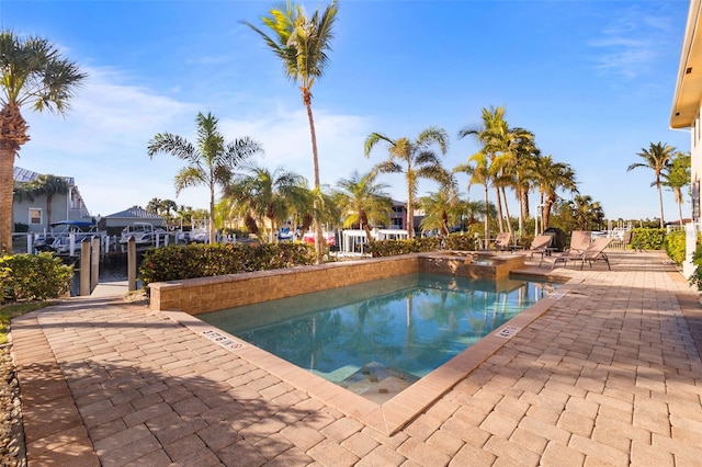 view of pool featuring a patio