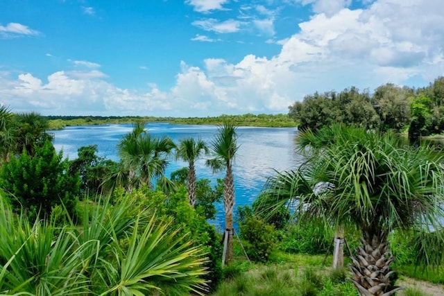 view of water feature