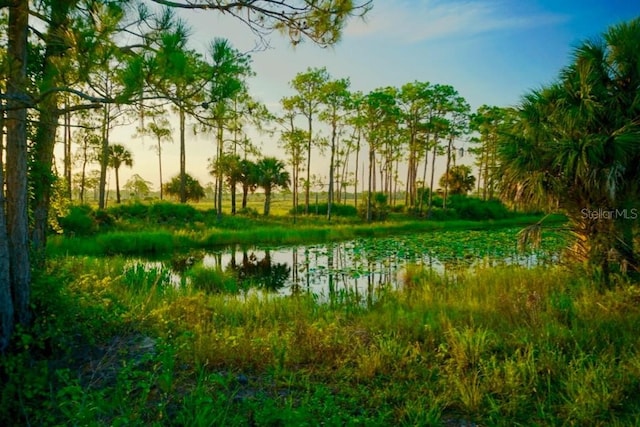 view of property's community featuring a water view