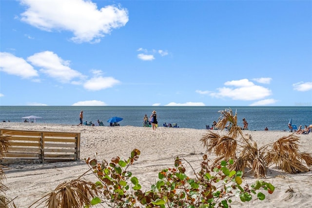 view of water feature with a beach view