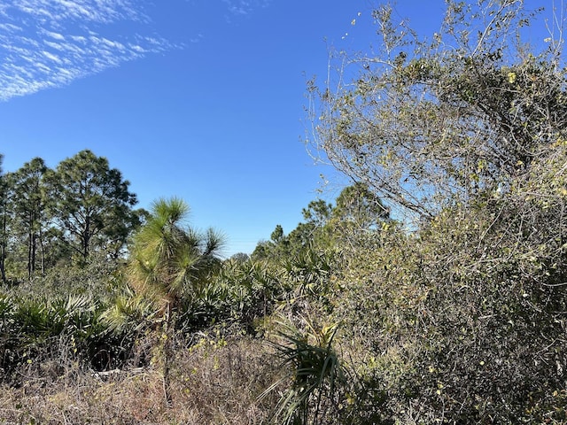 Listing photo 3 for LOT7 Evinrude Ave, North Port FL 34291