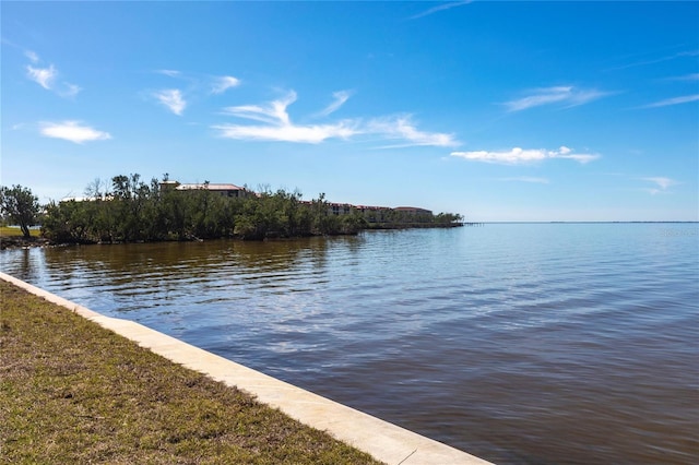 1 Colony Point Dr Unit A19, Punta Gorda, FL 33950 - view of water feature