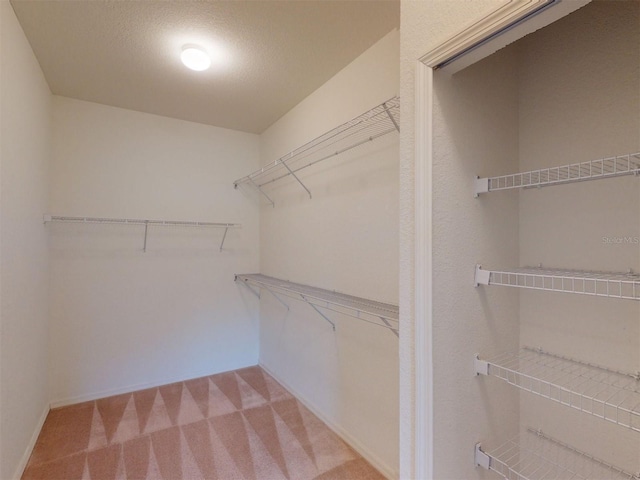 walk in closet featuring light colored carpet