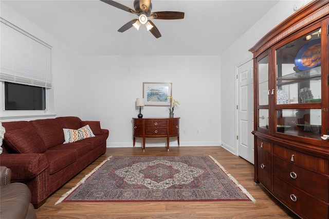 living room featuring ceiling fan and wood-type flooring