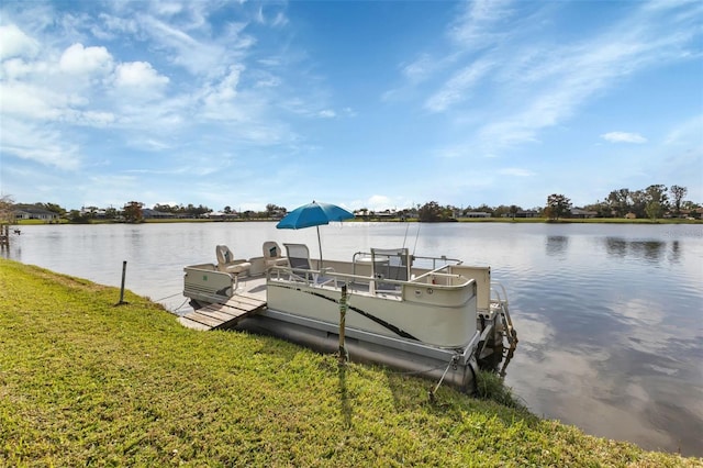 dock area with a water view and a yard