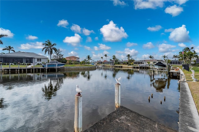 dock area with a water view