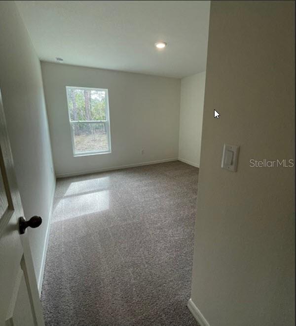 spare room featuring carpet floors