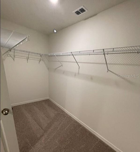 walk in closet featuring carpet floors