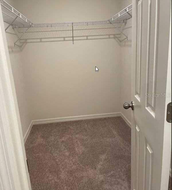 walk in closet featuring dark carpet