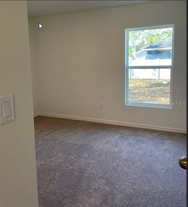 empty room featuring carpet floors