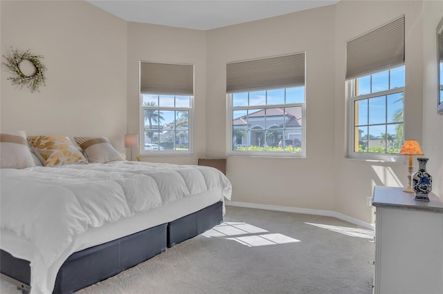 carpeted bedroom with multiple windows