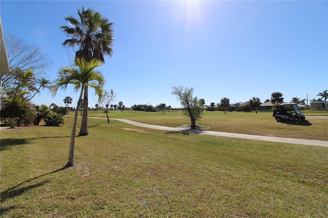 view of home's community featuring a yard