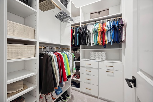 spacious closet with light colored carpet