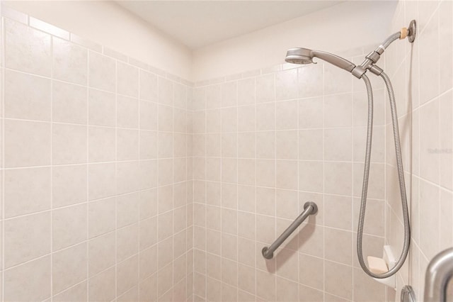 interior details with tiled shower