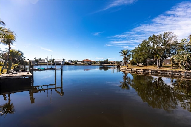 dock area with a water view