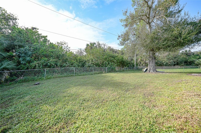 view of yard