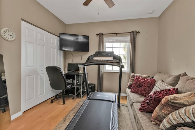 exercise area with wood-type flooring and ceiling fan