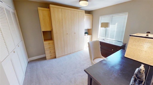 bedroom with light colored carpet and a closet