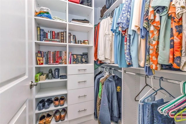 view of walk in closet